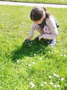 Zdjęcie przedstawia dziewczynkę z lupą, która w trawie poszukuje owadów. 
