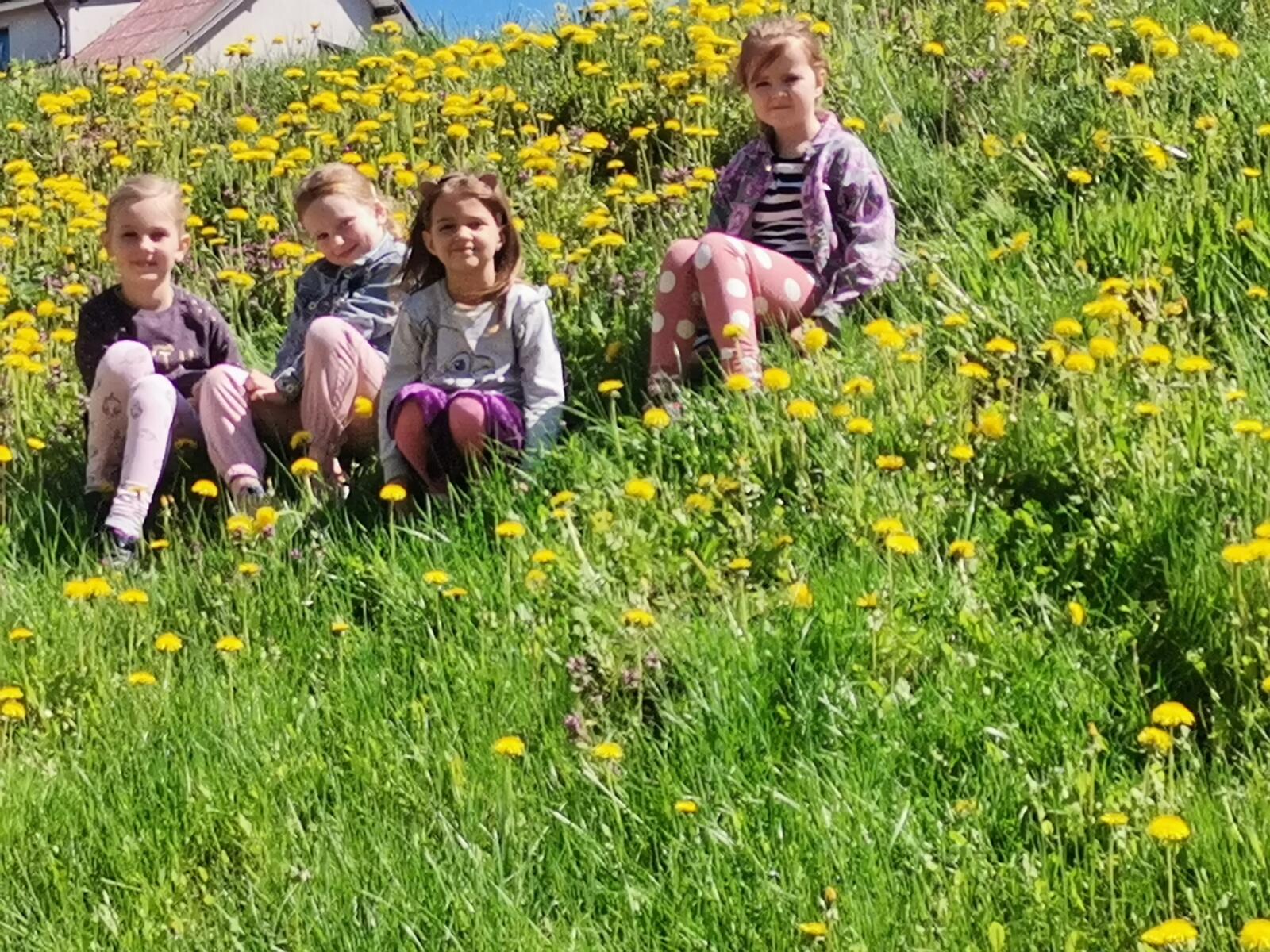 Zdjęcie przedstawia grupę dziewczynek siedzących w trawie pełnej mleczy.