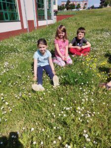 Zdjęcie przedstawia grupę dzieci pozujących do zdjęcia. Dzieci siedzą na trawie wśród stokrotek. 
