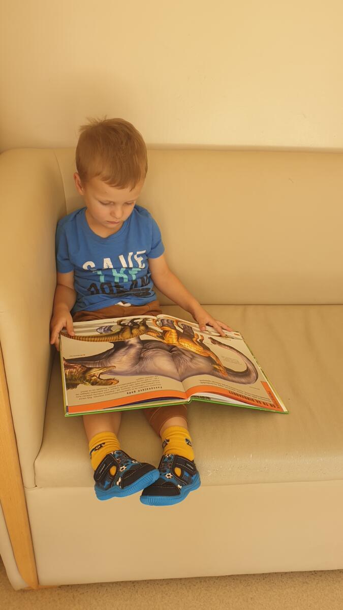 Siedzący na dziecięcej kanapie ogląda ilustrowaną książkę o dinozaurach.