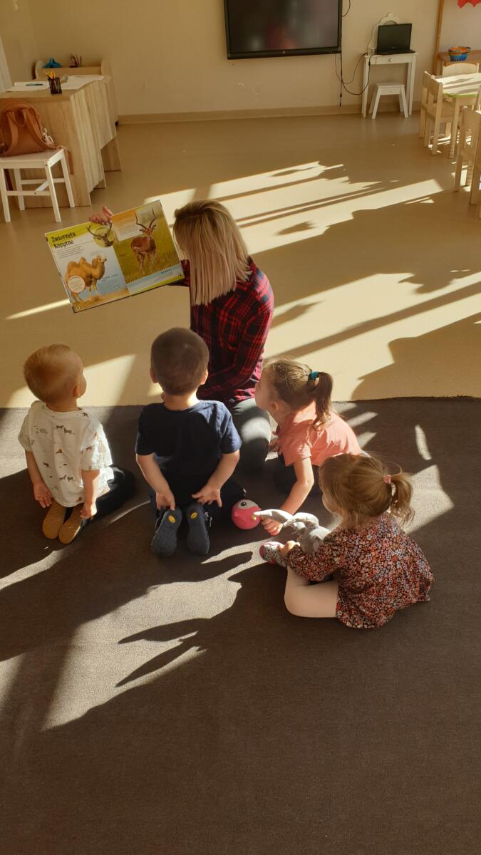 Zainteresowana tematyką zwierząt część dzieci z grupy "Niedźwiadki" ze skupieniem słucha swojej Pani, która przedstawia im postacie z kolorowej książki.