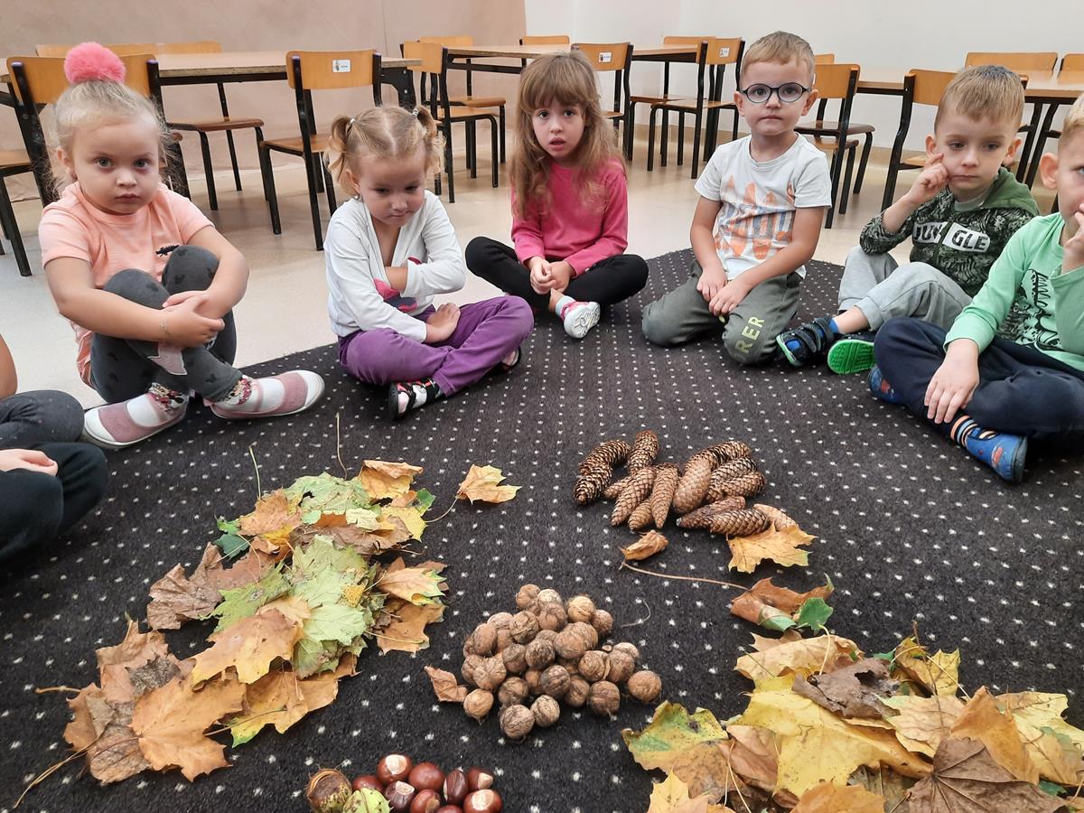 Dzieci siedzą na dywanie, na środku ułożone są dary jesieni: szyszki, liście, kasztany, orzechy. 