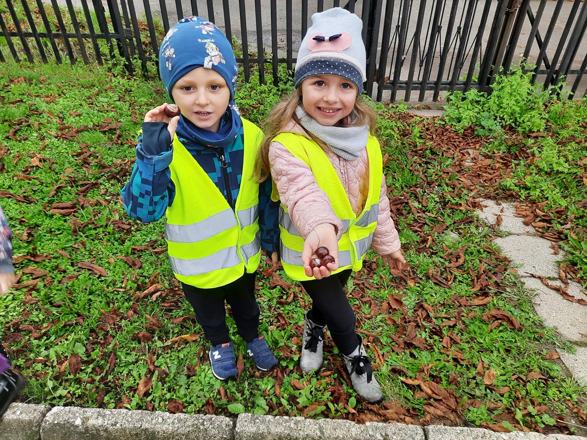 Dziewczynka i chłopiec ubrani w kamizelki odblaskowe na dworze pokazują kasztany, które trzymają w rękach.