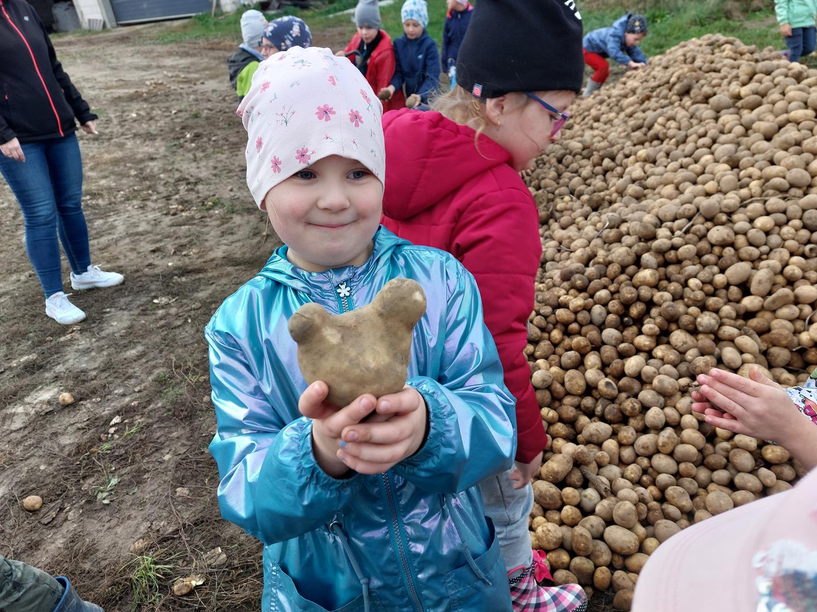 Dziewczynka trzyma w rękach ziemniaki o dziwnym kształcie.