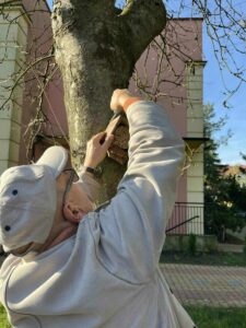 bed e fd af efebe bed e fd af efebe