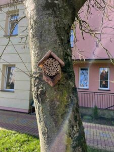 ddf fa cac dd cfbfa ddf fa cac dd cfbfa