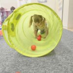 Dziewczynka przechodzi przez tunel.