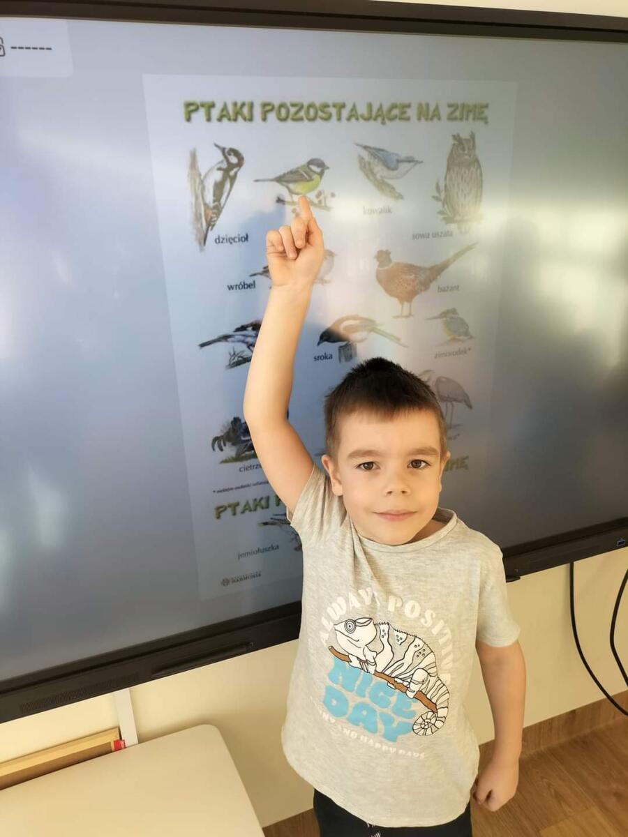 Na zdjęciu chłopiec wskazujący sikorkę na planszy wyświetlanej na tablicy multimedialnej.